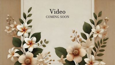 Ceremony : Coming Soon